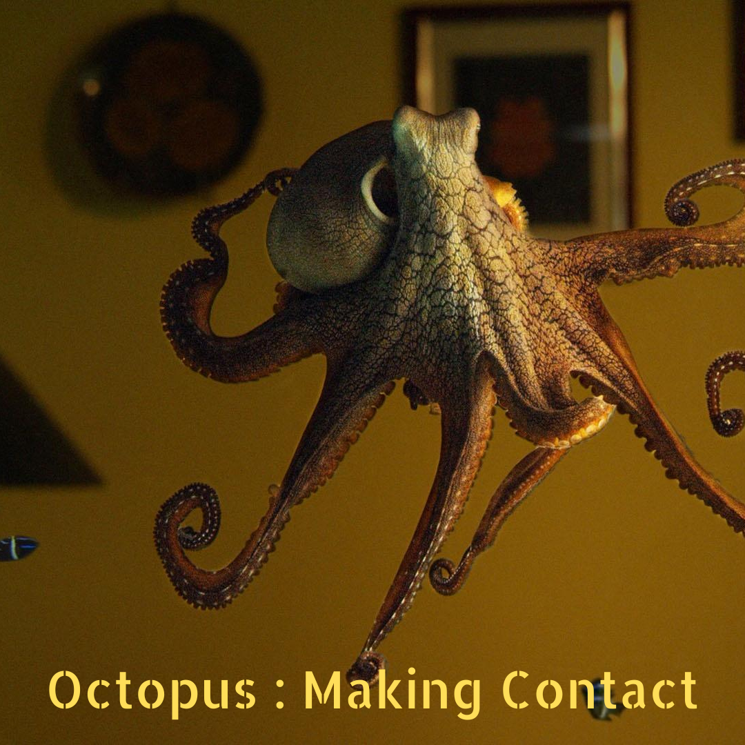 About WorcesterSchenevus Library